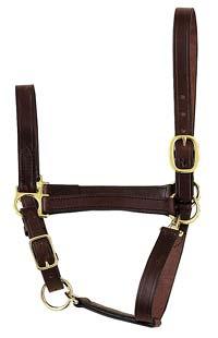 Suckling Foal Leather Halter
