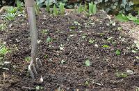 Green Manure