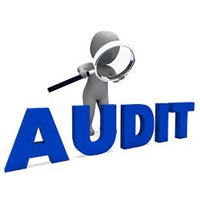 Company Audit Services