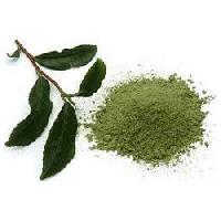 Green Tea Leaves Powder