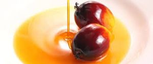 TOP PALM OIL
