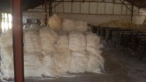 Sisal Fiber