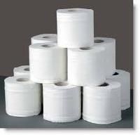 Toilet Tissue Rolls