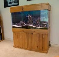 wooden fish aquarium