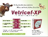 Vetricef - XP Injection