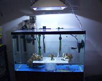 aquarium equipments