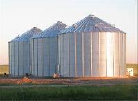 grain storage bins