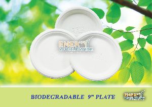 Biodegradable Round Plates