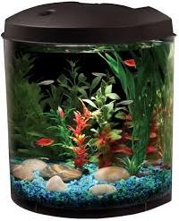 mini aquariums
