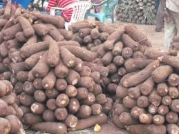 Fresh Yam