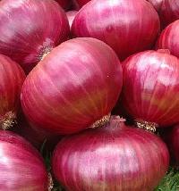 Fresh Rose Onion