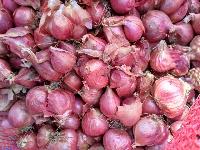 Fresh Small Onion