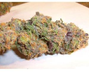 Granddaddy Purple Strain