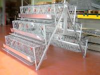Poultry Display Cage