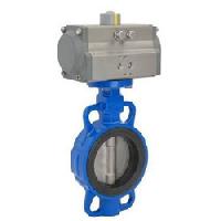 Butterfly Valve With Pneumatic Actuator