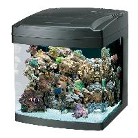 Aquarium Mini Tank