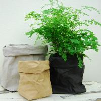plant bags
