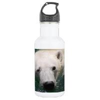 Antarctic Insulated Sport Water Bottle