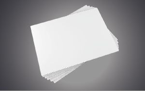 plain papers