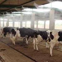 Dairy Fogging System  Installation