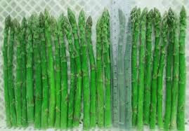 IQF and Canned Asparagus