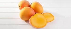 Fresh R2E2 Mango