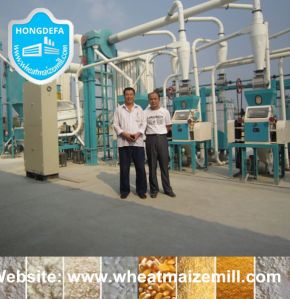 20t Per 24h Maize Grinding Mill Machine