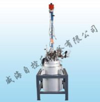 Magnetic Stirring Stainless Steel Reactor
