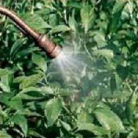 Micronutrient Foliar Spray
