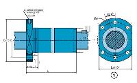 Double Nut with Flange EDBS