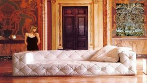 Sofa,  Back Type : Cushion Back