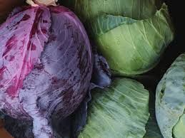Fresh Cabbages