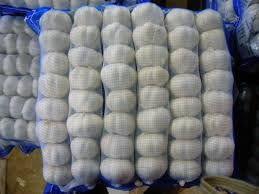 Fresh, Organic & Preserved Vegetables