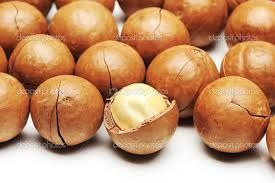 macadamia nuts