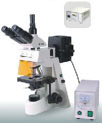 Fluorescent Microscopes