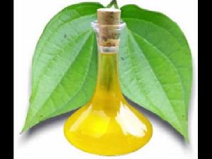 betel leaf oil