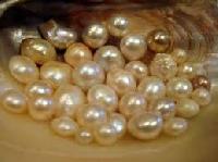 freshwater pearl