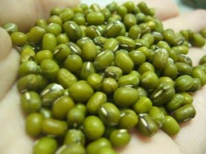 Whole Green Moong Dal