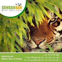 Sunderbans Package Tour  travel agency in Sundarban