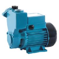 Domestic Water Pumps