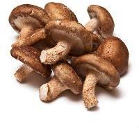 Natural Shiitake Mushroom, Color : Brown