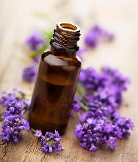 French Lavender Oil