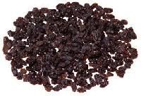 dried raisin