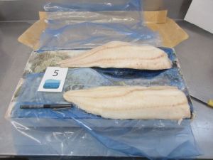 Frozen Cod Fillet