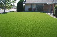 artificial grass lawn