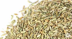 fennel seeds