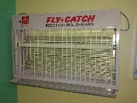 flycatcher