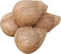 Coconut Semi Husk