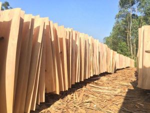Eucalyptus Core Veneer