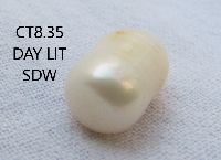 CT8.35 Day Lit SDW Pearl